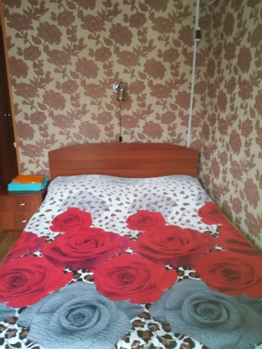 Фотография номера мини отеля Ариэль