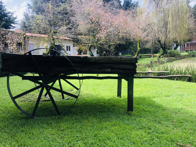 EcoCamp Ajusco Rotamundos Camping