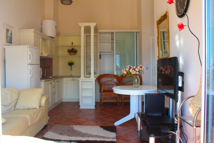 Mila & Aleksandr ApartmentsOver view