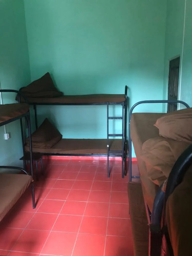 Фотография номера хостела Вежливый Лось на Бунинской аллее