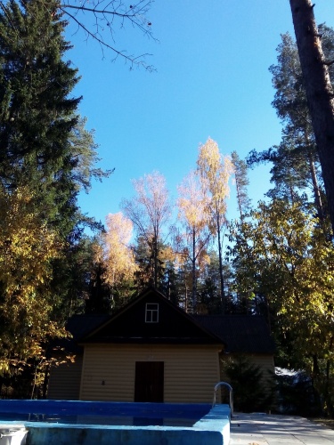Outside