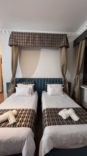 Standard Twin room with mountain view