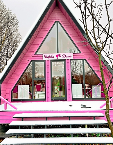 Фотография номера Коттеджа Частный дом Барби дача