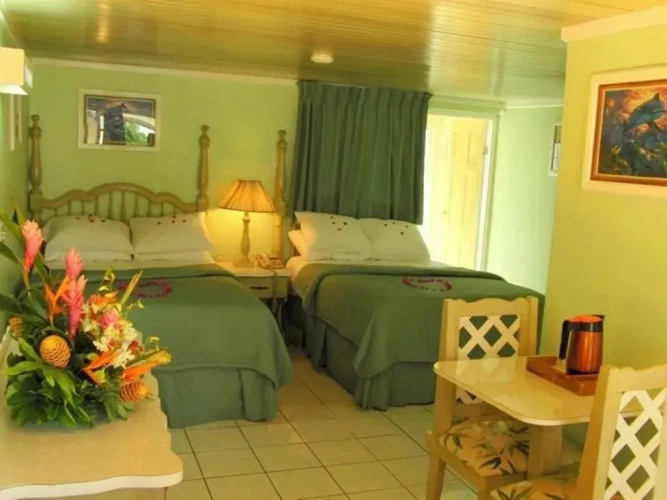 Standard Double room with balcony and with view
