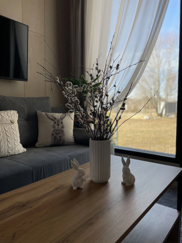 Фотография номера Коттеджа Частный дом Кислород 25