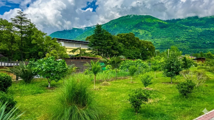 Gudwin Glamp Hotel