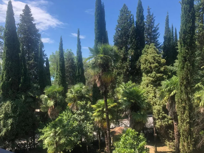 Gagra Hotel