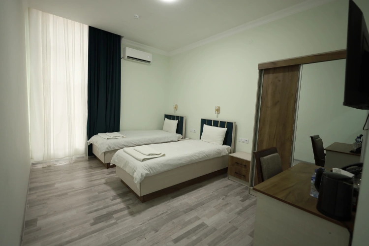 Standard Twin room with view