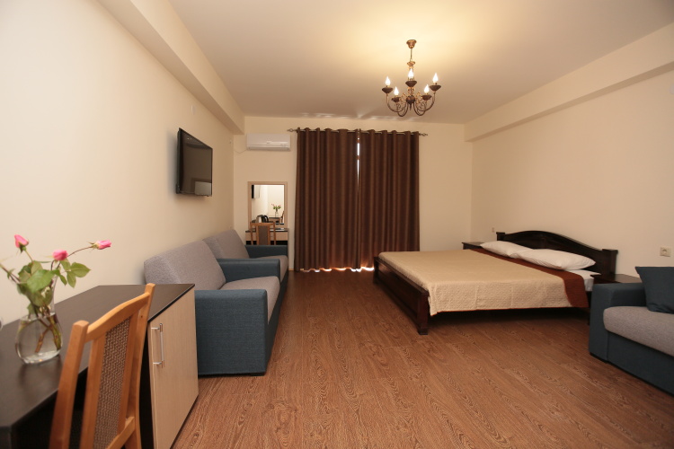 Standard Double room with balcony and with view