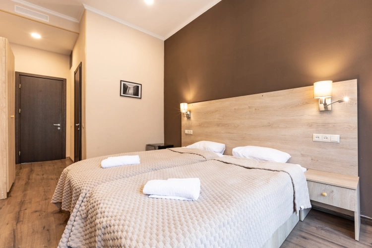 Standard Double room with mountain view
