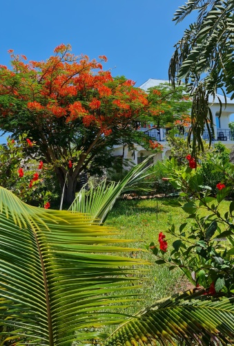 Superior Double room with balcony and with view