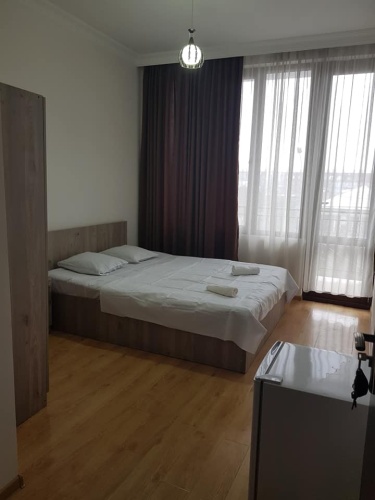 Standard Double room with balcony and with view