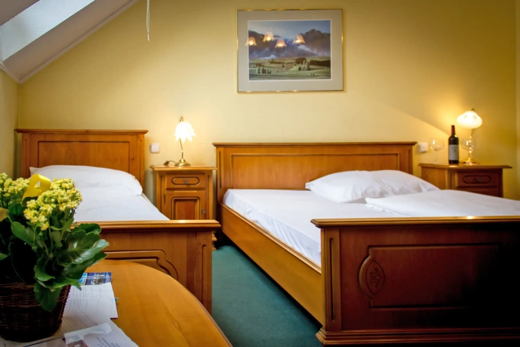 Standard Quadruple room with city view