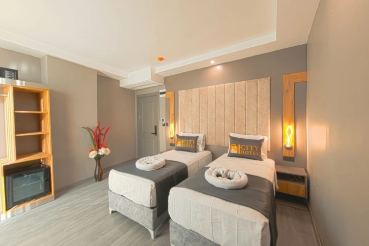 Standard Twin room with view