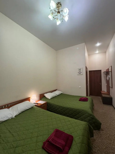 Фотография номера гостиницы Ганза