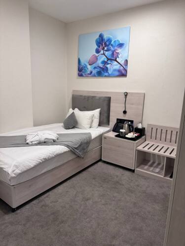 Фотография номера гостиницы Hotel Inspira-S Tashkent