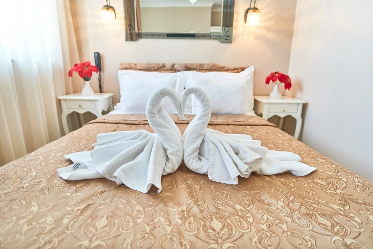 Deluxe Single room