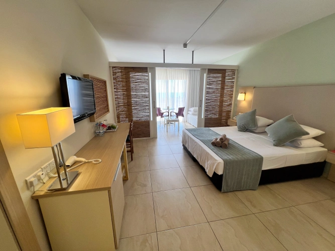 Classic Single room with garden view