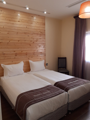 Standard Twin room with balcony and with view