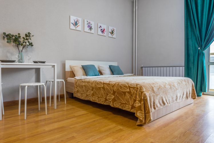 Фотография номера квартиры Апартаменты Белинского 30 (203)