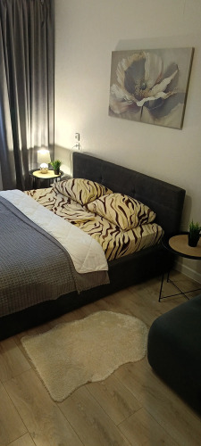 Фотография номера квартиры Квартира Уютная Студия Плюс Спальня