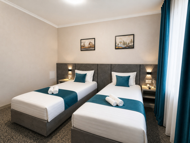 Deluxe Twin room