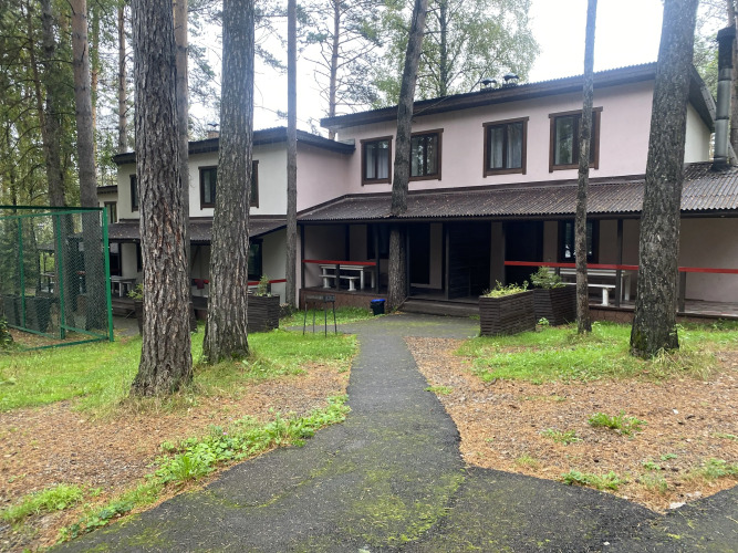 Фотография номера мини отеля Брусника