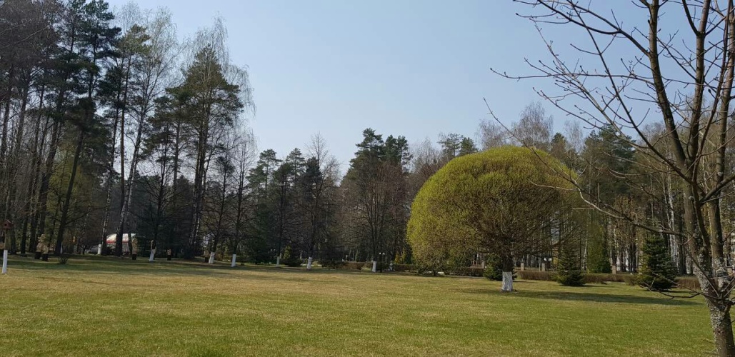 Outside