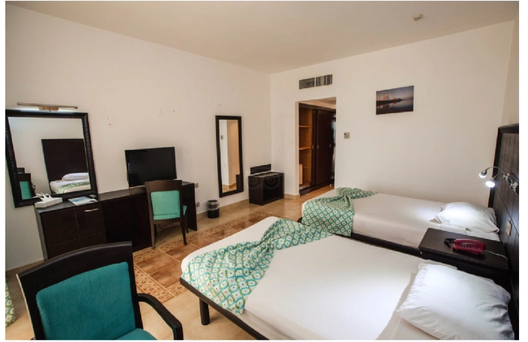 Standard Double room with balcony and with view