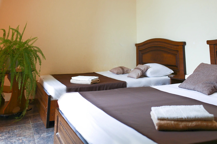 Фотография номера гостевого дома Алоиза