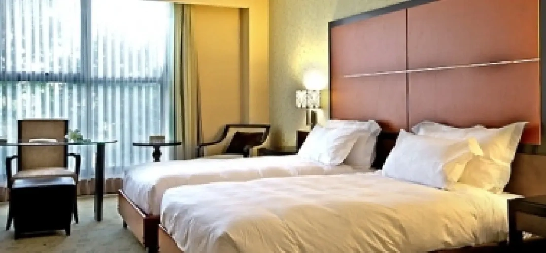 Standard Twin room with view