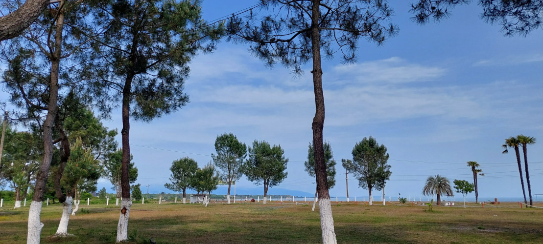 Sosnovy Bor Resort