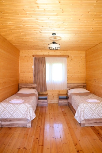 Standard Twin room with balcony and with mountain view