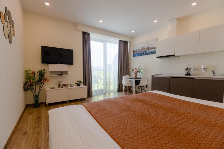 Double Studio with balcony and with lake view