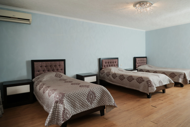 Фотография номера гостиницы Пушкинская