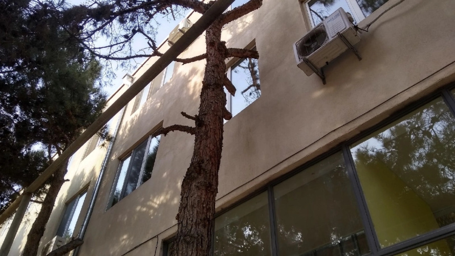 Gio's Apartments
