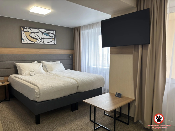 Фотография номера гостиницы Амакс Золотое кольцо