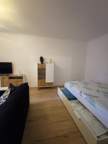 Flat Mayakovskogo 19/1 Brest