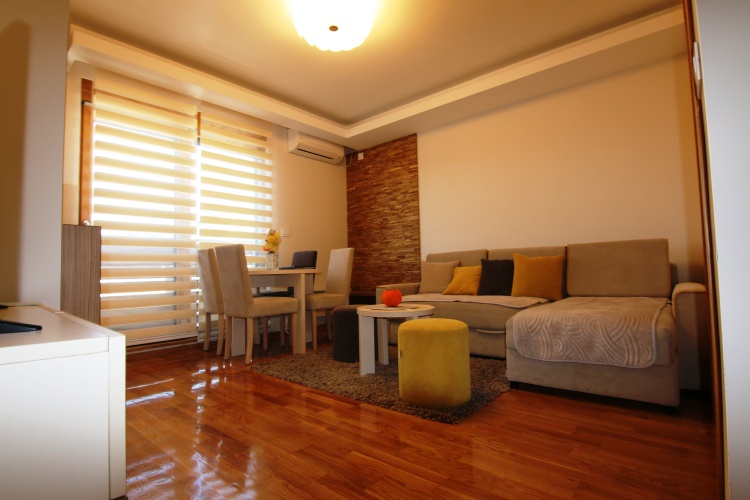 1 Bedroom Standard Apartment with balcony and with view