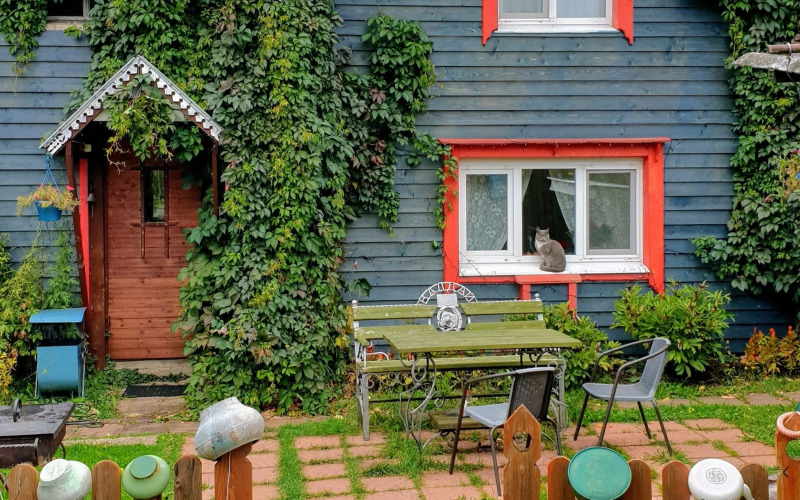 Фотография номера гостевого дома Лосиный тупичок