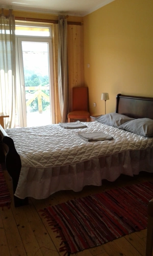 Standard Double room with balcony and with view