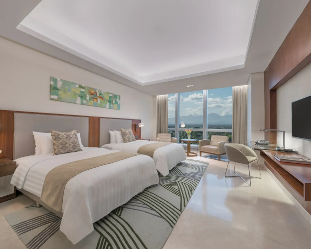 Deluxe Twin room