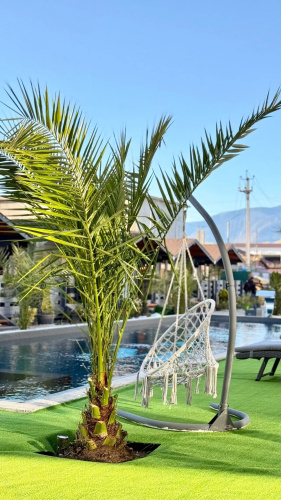 Hotel Sandro&milanii
