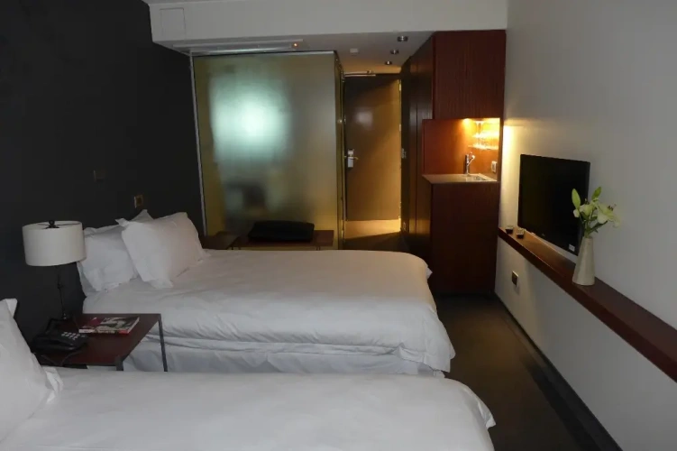 Standard Double room with balcony and with city view