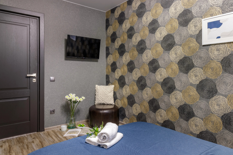 Flat V Tsentre Na Gorodenskogo