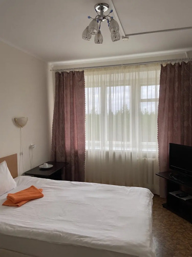 Одноместный номер Economy