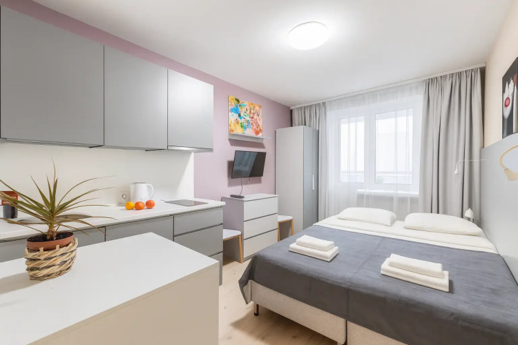 Фотография номера квартиры Апартаменты Лайк 2