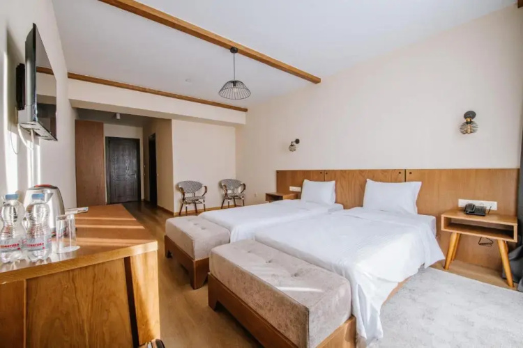 Hotel Gudauri Inn