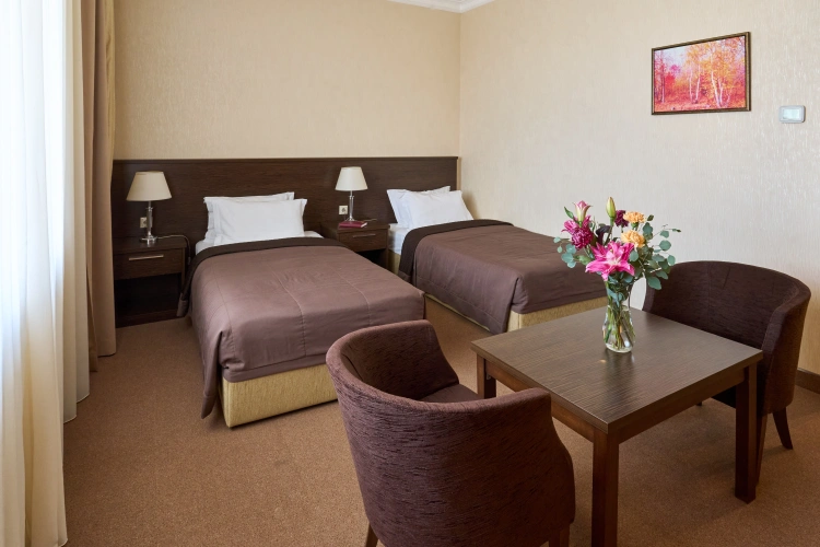 Standard Twin room with view