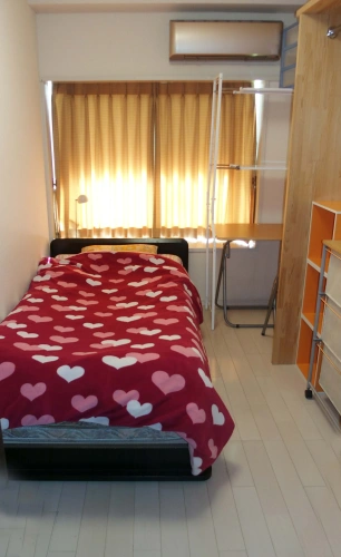 Standard Single room with view